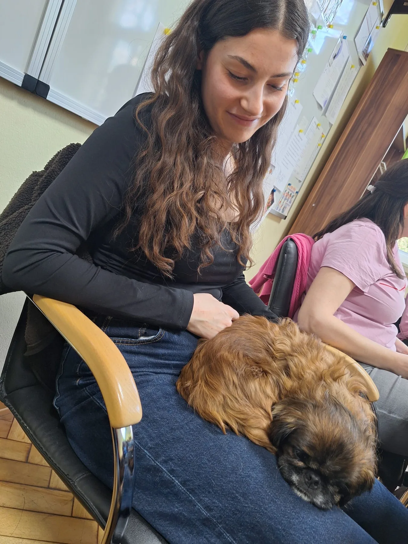 Ein ruhiger Moment mit Schulhund Aslan.